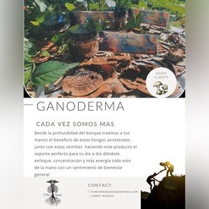 Producto 100% natural a base de Ganoderma, semilla de chia, almendra y quinoa.